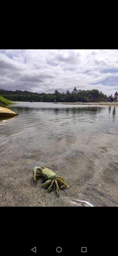 Hostal Estrellas Del Tayrona Playa Mendihuaca Guachaca Esterno foto